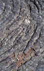 Craters of the Moon - Lava Close Up