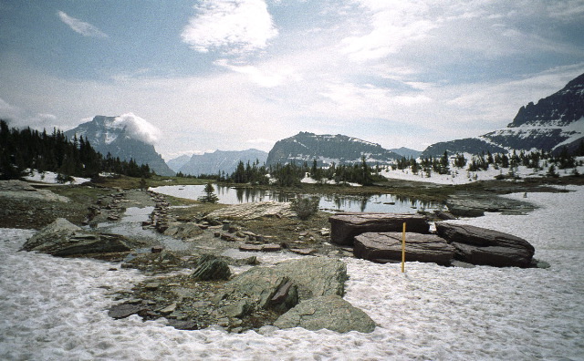 Glacier National Park - Logan Pass Pond