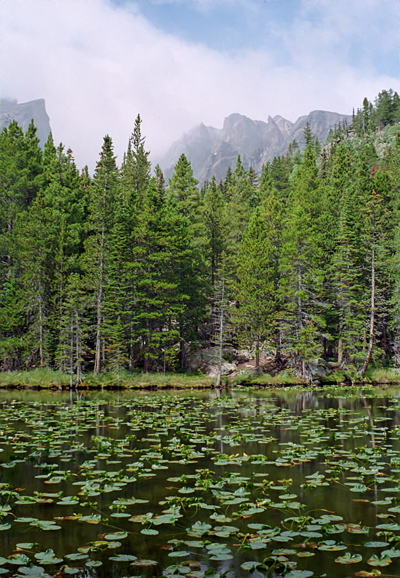 Rocky Mountain National Park Nymph Lake Photo