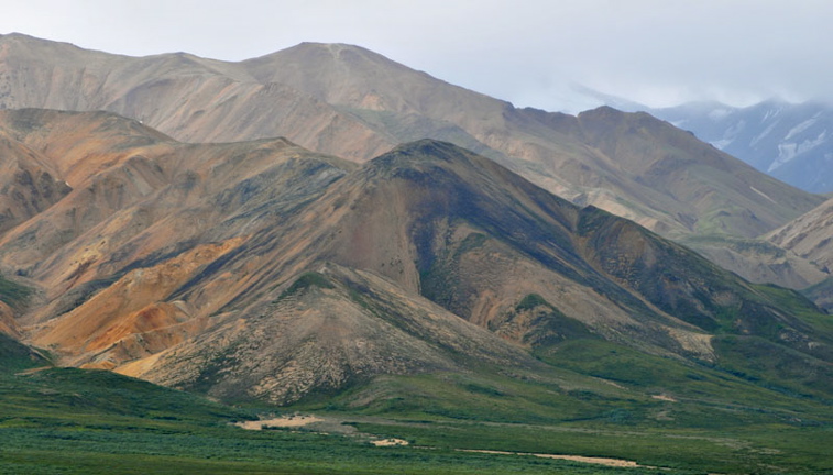 Photo of Polychrome Pass - Denali National Park