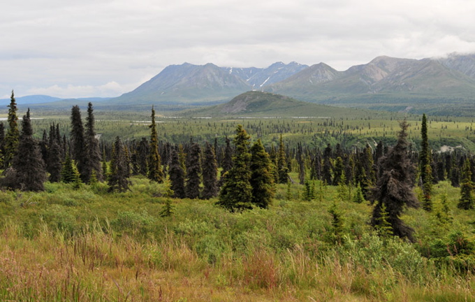 Photo of Chugach Mountains - Glenn Highway