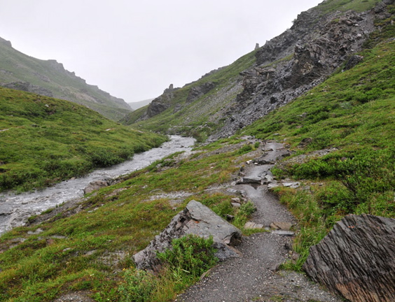 Photo of Savage River Trail - Denali National Park