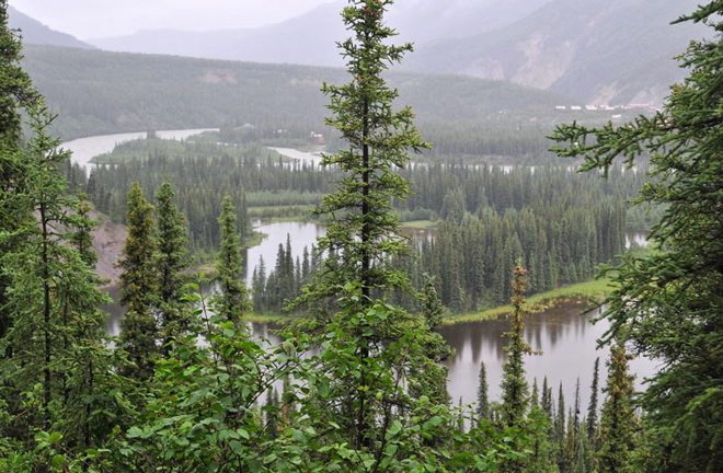 Photo of Horseshoe Lake - Denali National Park