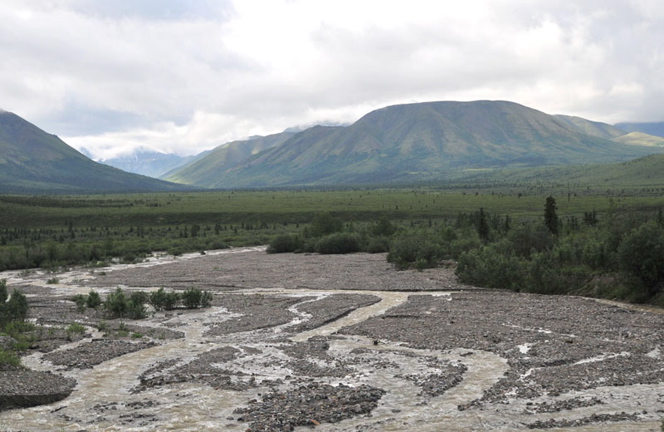 Photo of Hines Creek - Denali National Park