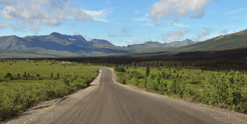 Photo of Park Road - Denali National Park