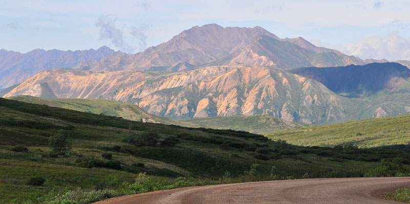 Photo of Sable Pass - Denali National Park