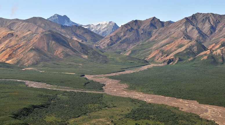 Photo of Polychrome Pass - Denali National Park