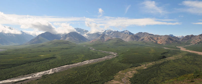 Photo of Polychrome Pass - Denali National Park