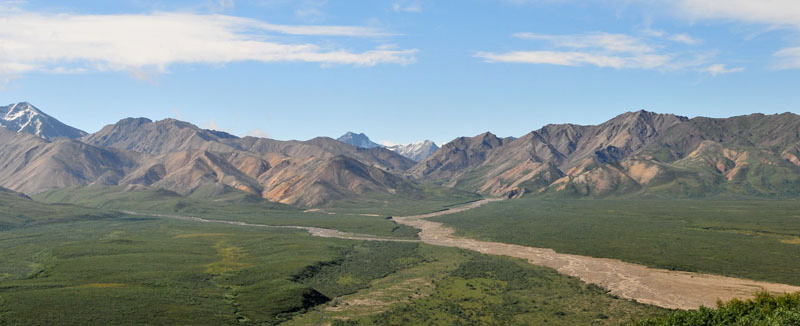 Photo of Polychrome Pass - Denali National Park