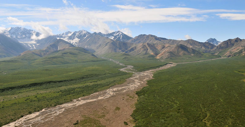 Photo of Polychrome Pass - Denali National Park