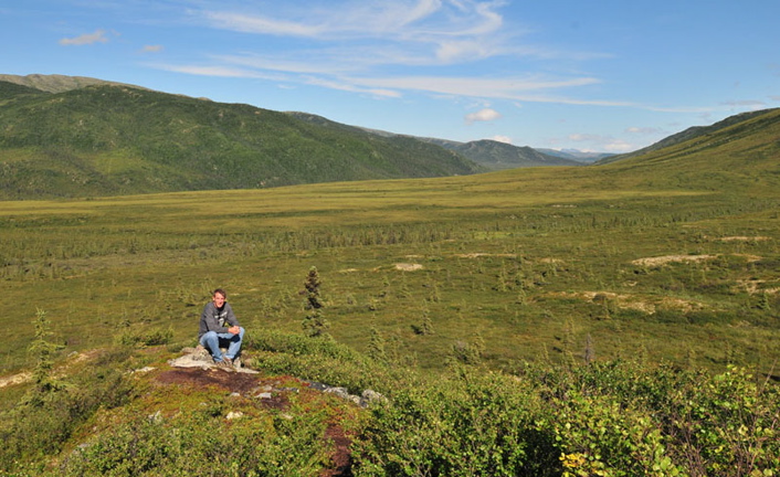 Photo of Hawk's Next Cabin - Denali National Park