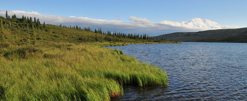 Photo of Wonder Lake - Denali National Park