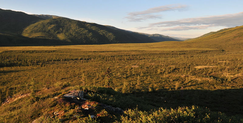 Photo of Hawk's Next Cabin - Denali National Park