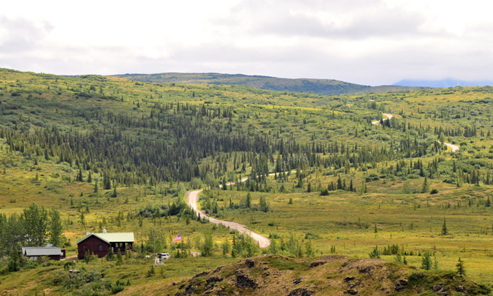 Photo of Ranger Station - Denali National Park