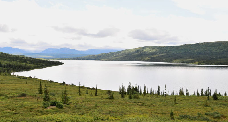 Photo of Wonder Lake - Denali National Park