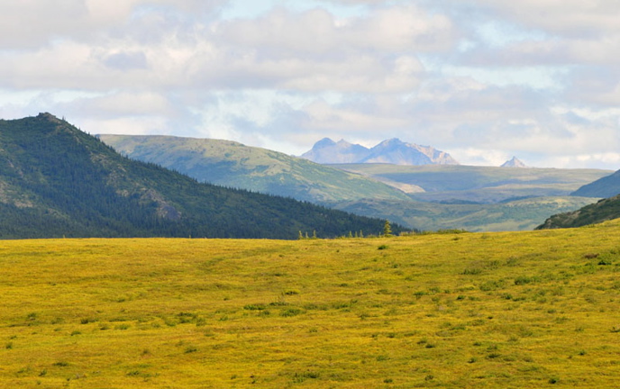 Photo of Hawk's Nest Cabin - Denali National Park