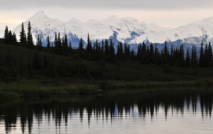 Photo of Wonder Lake - Denali National Park