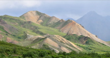 Sable Pass - Denali NP