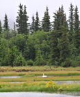 McCarthy Road - Wrangell St Elias NP