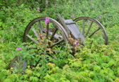 Kennecott Mine - Wrangell St Elias NP