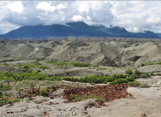 Kennicott Glacier Moraine - Wrangell St Elias NP