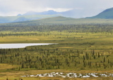 Chugach Mountains - Glenn Highway