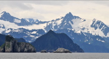 Chiswell Islands - Kenai Fjords NP