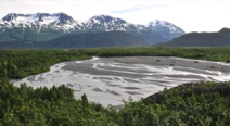 Outwash Plain - Exit Glacier - Kenai Fjords NP