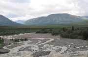 Hines Creek - Denali NP