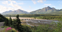 Teklanika River - Denali NP