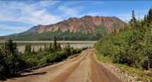 Toklat - Denali NP