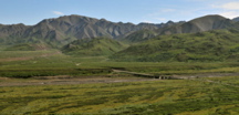 Highway Pass - Denali NP