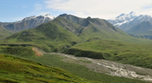 Glacier Creek - Denali NP
