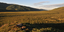 Hawk's Next Cabin - Denali NP