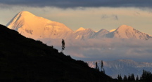 Alaska Range - Denali NP