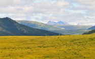 Hawk's Nest Cabin - Denali NP