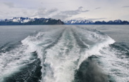 Resurrection Bay - Kenai Fjords NP
