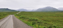 Park Road - Denali NP