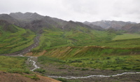 Highway Pass - Denali NP