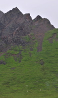 Mountian Goats - Denali NP