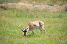 DSC_2280