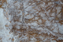 P1000481