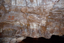 P1000486
