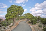 Paved Rim Trail