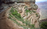 Switchbacks on South Kaibab Trail