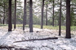 Snow in May