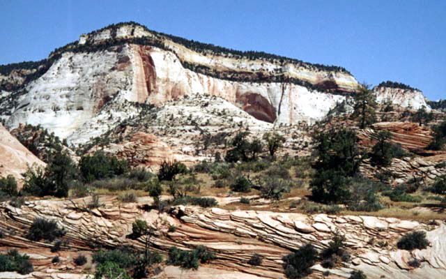 Zion National Park - White Cliffs