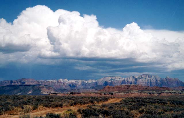 Zion National Park - Steps