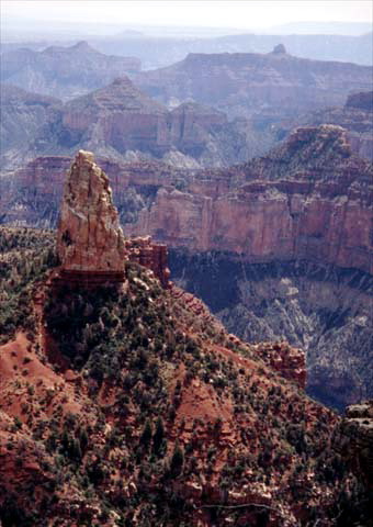 North Rim Grand Canyon - Point Imperial