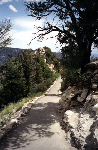 North Rim Grand Canyon - Bright Angel Pt